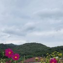 9월11일(목)1시30분,구파발역1번출구(밖)카페투어&amp;파노라마-한북누리길산책 이미지