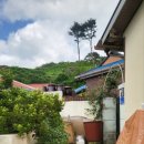 광천읍 삼봉마을회관 | 충남 홍성군 광천읍 삼봉마을 장사익찔레꽃거리