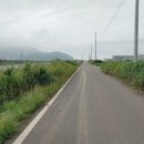 선두포낚시터 이미지