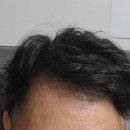 샬롬미용실 - 마포구 서교동 | 샬롬미용실