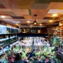 플랜츠비 이미지