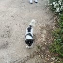 옥돌당구장 이미지