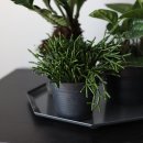 뽀빠이카 이미지