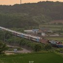 H4544 네이버블로그