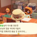 디자인맑음 이미지