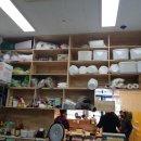 진부엉이꼬마김밥광교