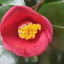 신흥2리마을 이미지