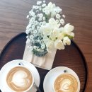 가비맨션 이미지