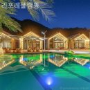 리포레풀램핑 이미지