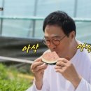 장포농장 이미지