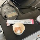 아현종로약국 | [아현] 파나쿠어정 500mg / 고양이 구충제 / 아현 종로 약국 구매 후기 /25년 04월 가격