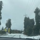 선양목장 이미지