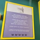 아산디저트 배방도넛 카페 추천 누에보올레 맛있는 도넛과 음료 카페 후기!