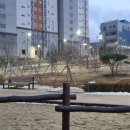 서산중학교 | 석림근린공원 저녁 산책 후기 – 도심 속 힐링 공간