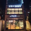 부산고양이분양 그린캣 이미지