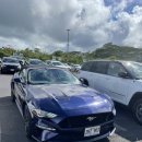 오렌터카 이미지