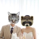 크라우드짐 | [스튜디오] 정원있는 토탈스튜디오, 헤로하우스 후기 (with 웨딩크라우드)