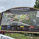 평택 내리문화공원 수국 &amp; 물놀이터 방문후기｜경기도 아이와 가볼만한곳 추천 (2026.06.21)