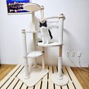 펫타워 | 고양이 캣타워 추천 원목 펫가구 마스코티안 3개월 후기
