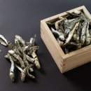 제철음식 #제철해산물 🐟 멸치의 유래, 바다와 역사에 담긴 작은 생선 이야기