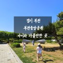 시청광장 | [경기 부천] 날좋은데, 키즈카페 그만 갈래요~ 우리 동네 부천중앙공원이 답이었네