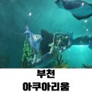 펭귄식당부천점 | 부천 아쿠아리움에서 4시간 알찬 관람 후기