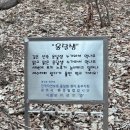 지리산막내딸
