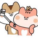 빈스민박 이미지