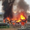 대원태양광발전소 이미지