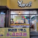 마니닭