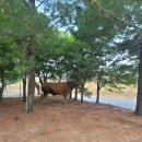 용암1농장 이미지