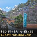 강변카 | 쿠사츠 온천 사이노카와라 노천탕 이용 후기(추천 시간대, 라이트업, 아쉬웠던 점)