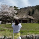 가야고속관광투어㈜ | 일본 나고야 여행 시라카와고 버스투어 2번 다녀온 4월 후기