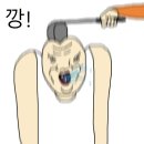 신신스포츠 네이버블로그