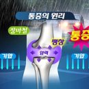 네온정형외과의원 이미지