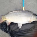 샘터낚시터 이미지