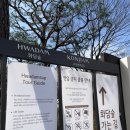 [광주]화담숲 방문 후기