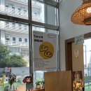 무학크림앤크림가스 | [부산]반려동물 동반 가능한 브런치가 맛있는 명지 브런치 앤 디너 테라비 명지 본점 후기