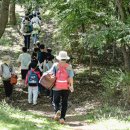 수요 문화 체험 이미지