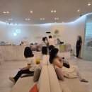 노안농장 | 내 눈에 좋은 영양제 눈 영양제 루테인지아잔틴 추천(뉴트원 루테인지아잔틴 아이폴라 후기)