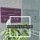 마린시티 파크하얏트호텔 앞 | 부산 호캉스 파크하얏트 부산 호텔 오션 전망 킹 배드 숙박 후기