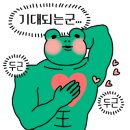 해초과메기양정점 이미지