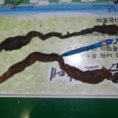 가서농장 이미지