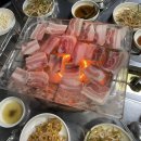 뚜껑열린돼지 이미지