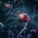 글리아(GLIA)