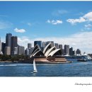 오페라하우스 이미지