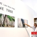 소나무를 품다 이미지