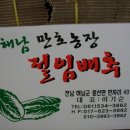 배추PC 이미지