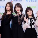 사쿠라 스포츠동아