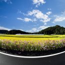 코스모스환경 이미지